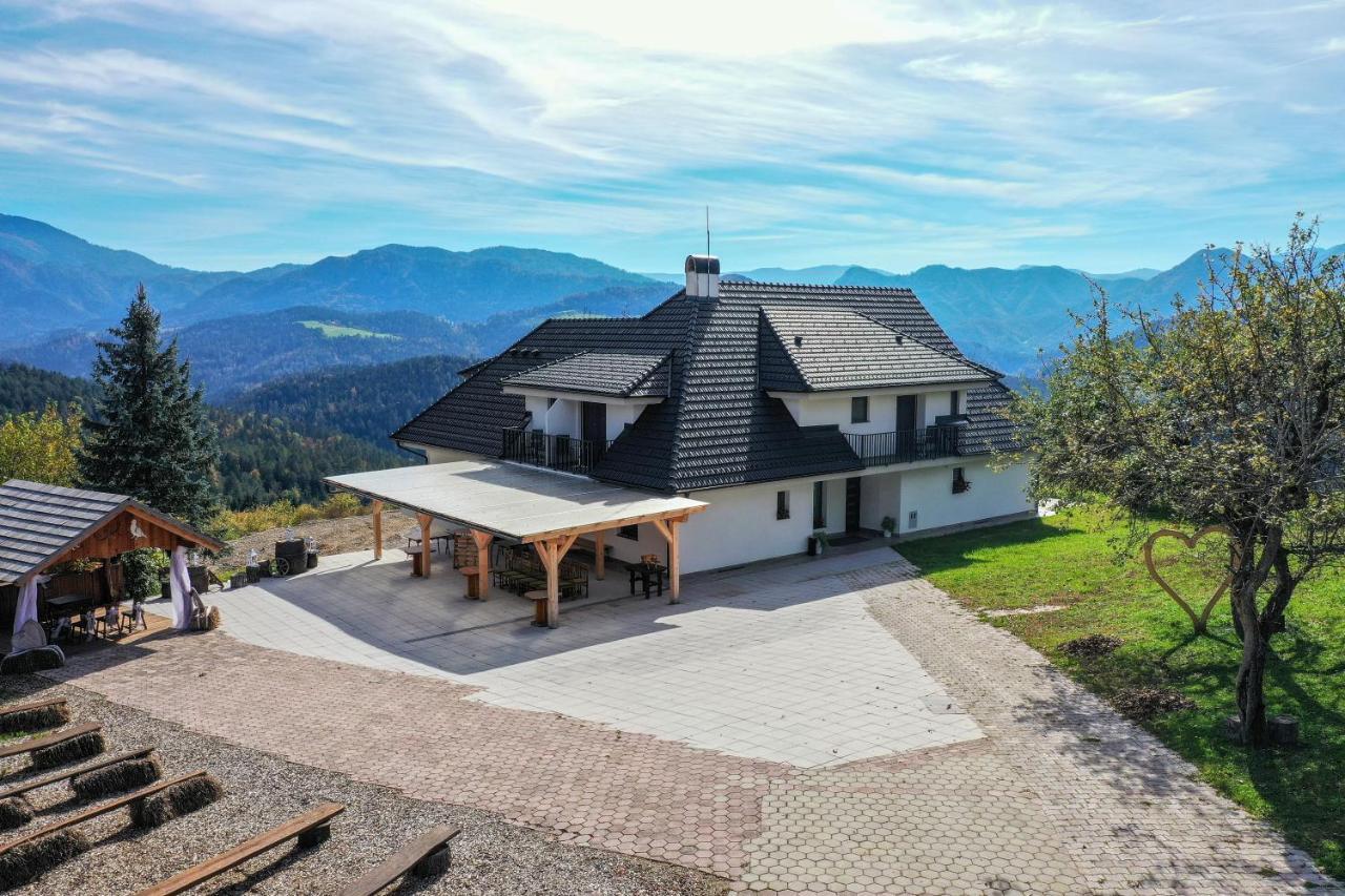 Vila Marin Miler Prevalje Kültér fotó